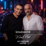 دانلود آهنگ دی جی علی یادگاری به نام ریمیکس شادمهر عقیلی خیالی نیست