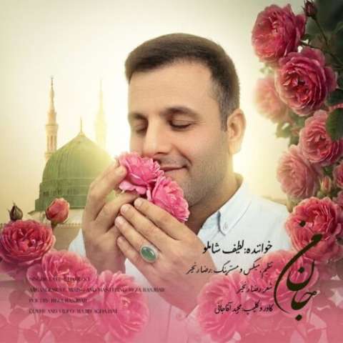 آهنگ لطیف شاملو جان من دانلود آهنگ لطیف شاملو جان من